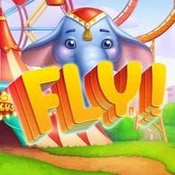 Fly